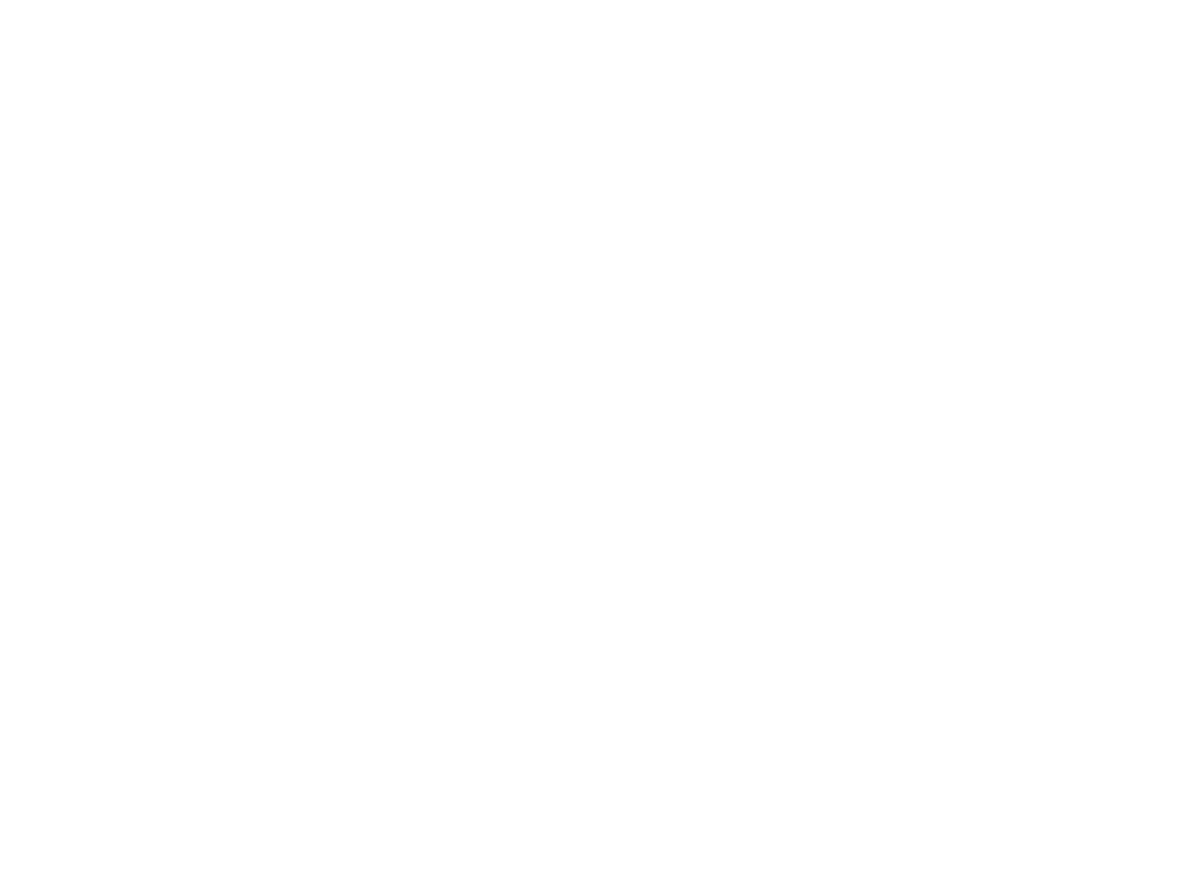 VISIO Festival